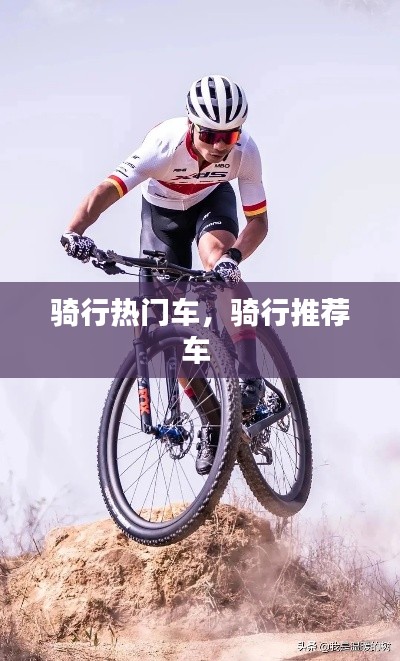 骑行热门车，骑行推荐车 
