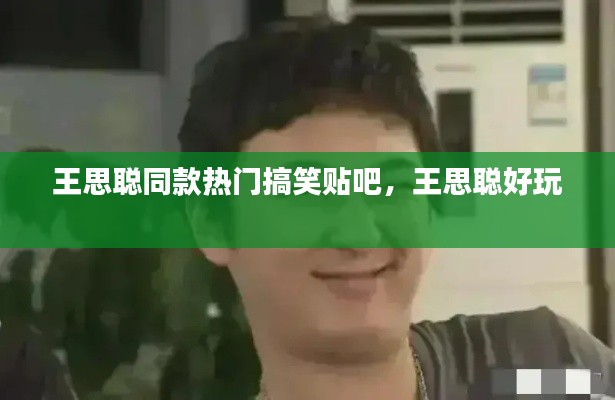 王思聪同款热门搞笑贴吧，王思聪好玩 