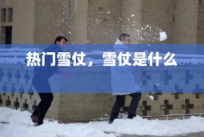热门雪仗，雪仗是什么 