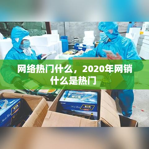 网络热门什么，2020年网销什么是热门 
