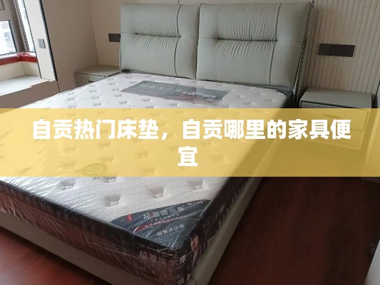 自贡热门床垫，自贡哪里的家具便宜 