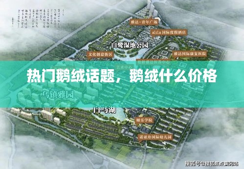 热门鹅绒话题，鹅绒什么价格 
