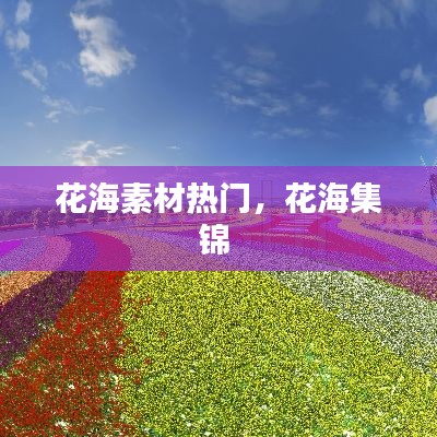 花海素材热门，花海集锦 