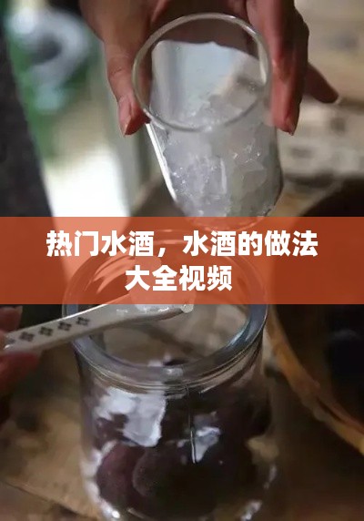 热门水酒，水酒的做法大全视频 