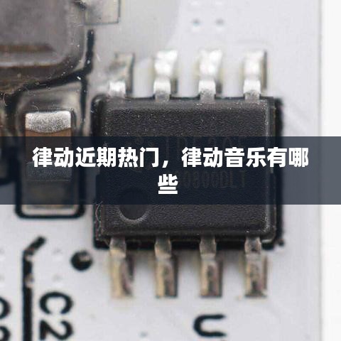 律动近期热门，律动音乐有哪些 