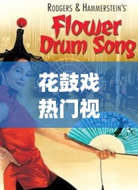 花鼓戏热门视频下载，花鼓戏视频全集播放 
