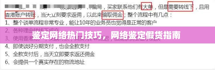 鉴定网络热门技巧，网络鉴定假货指南 