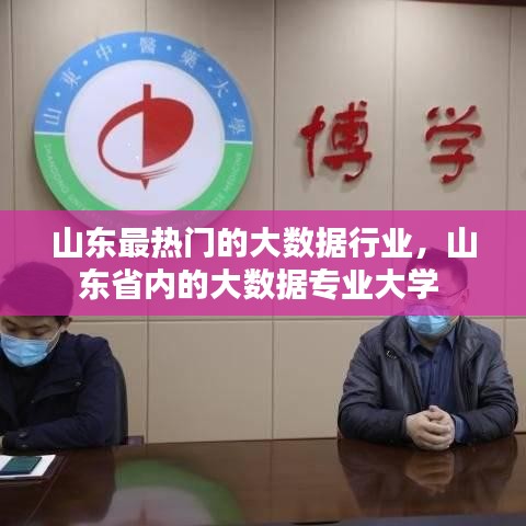 山东最热门的大数据行业，山东省内的大数据专业大学 