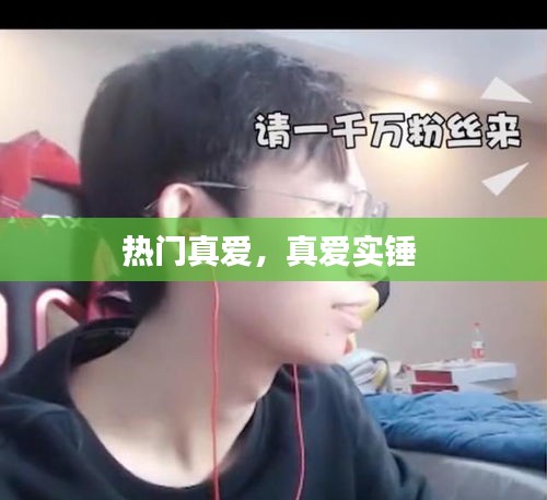 澹泊明志 第2页