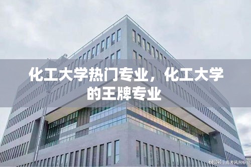 化工大学热门专业，化工大学的王牌专业 