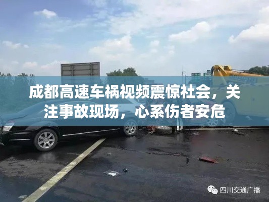 成都高速车祸视频震惊社会，关注事故现场，心系伤者安危