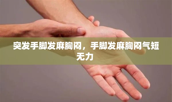 突发手脚发麻胸闷，手脚发麻胸闷气短无力 