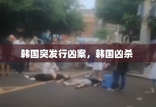 韩国突发行凶案，韩国凶杀 