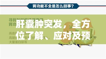 肝囊肿突发，全方位了解、应对及预防方法