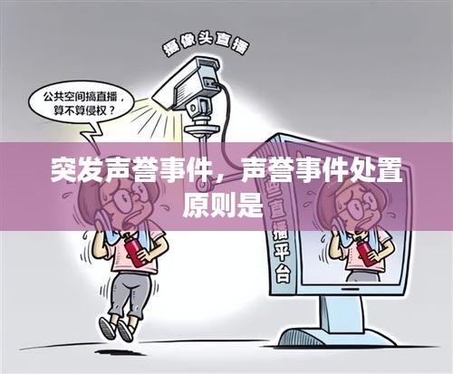 突发声誉事件，声誉事件处置原则是 