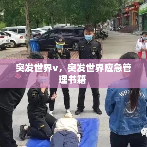屦贱踊贵 第2页
