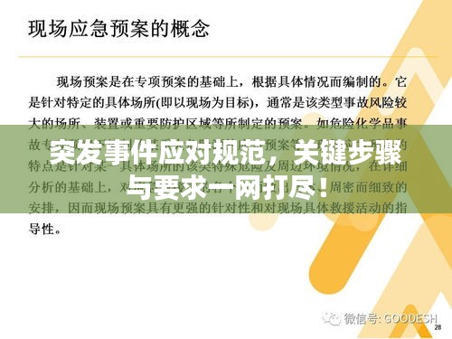 雍荣闲雅 第2页