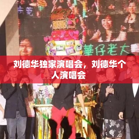 刘德华独家演唱会，刘德华个人演唱会 