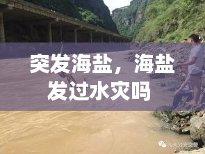 突发海盐，海盐发过水灾吗 