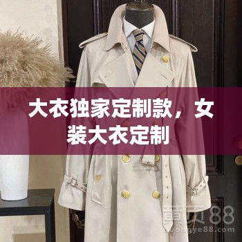大衣独家定制款，女装大衣定制 