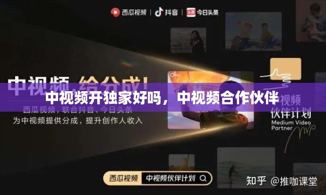 中视频开独家好吗，中视频合作伙伴 