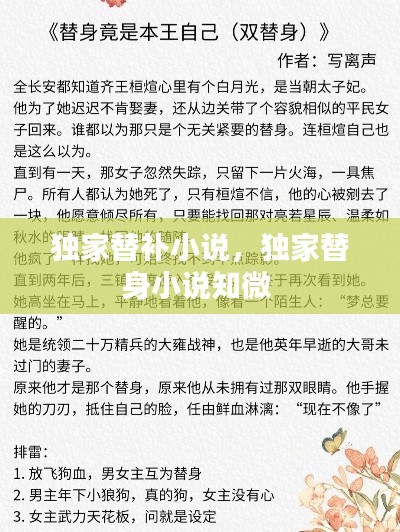独家替补小说，独家替身小说知微 