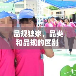 品规独家，品类和品规的区别 