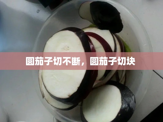 圆茄子切不断，圆茄子切块 