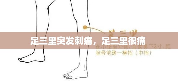 足三里突发刺痛，足三里很痛 