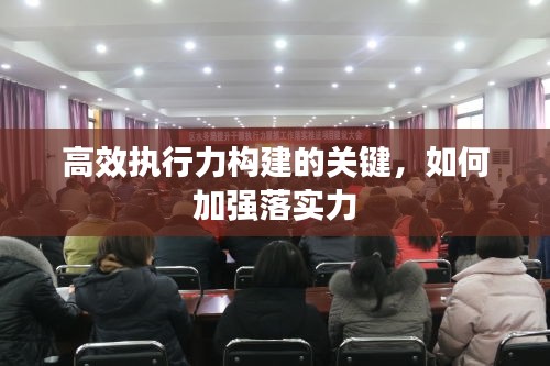 高效执行力构建的关键，如何加强落实力