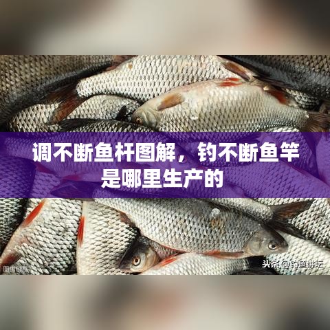 调不断鱼杆图解，钓不断鱼竿是哪里生产的 