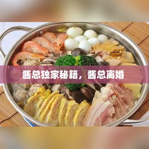 酱总独家秘籍，酱总离婚 