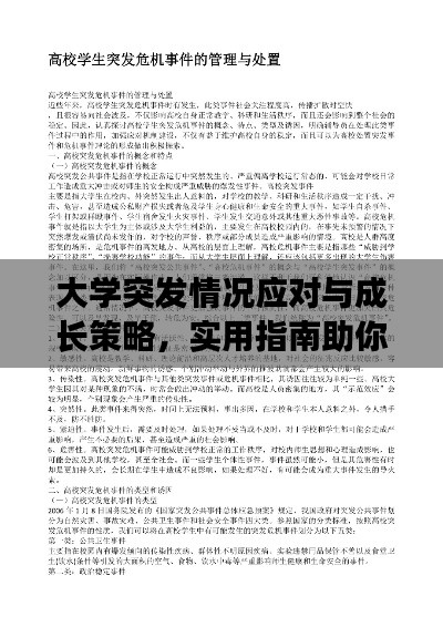 大学突发情况应对与成长策略，实用指南助你化危为机！