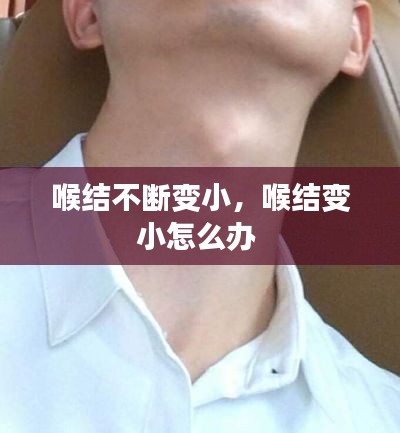 越鸟南栖 第2页