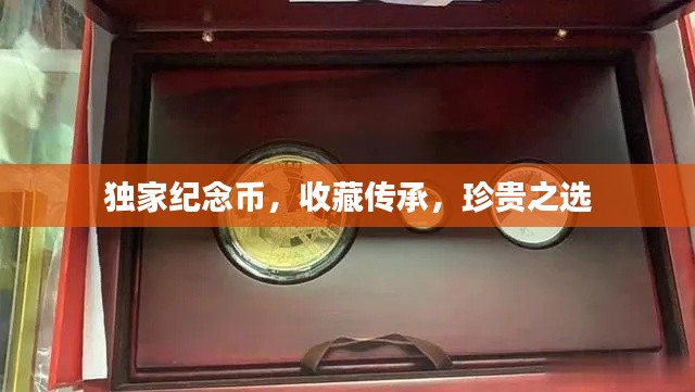 独家纪念币，收藏传承，珍贵之选