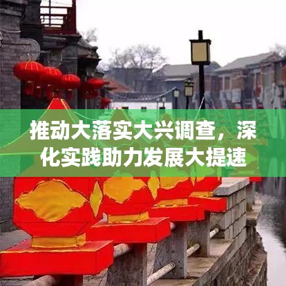 推动大落实大兴调查，深化实践助力发展大提速
