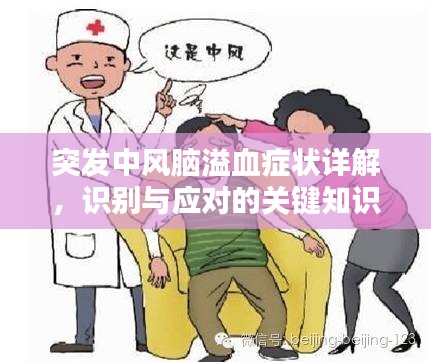 突发中风脑溢血症状详解，识别与应对的关键知识