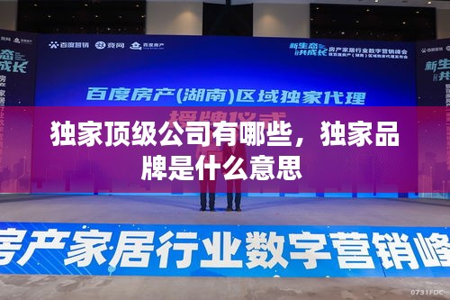 独家顶级公司有哪些，独家品牌是什么意思 