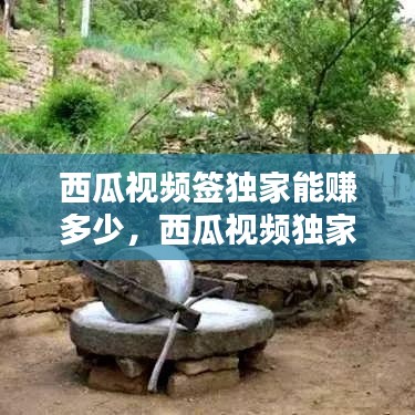 西瓜视频签独家能赚多少，西瓜视频独家收益怎么样 