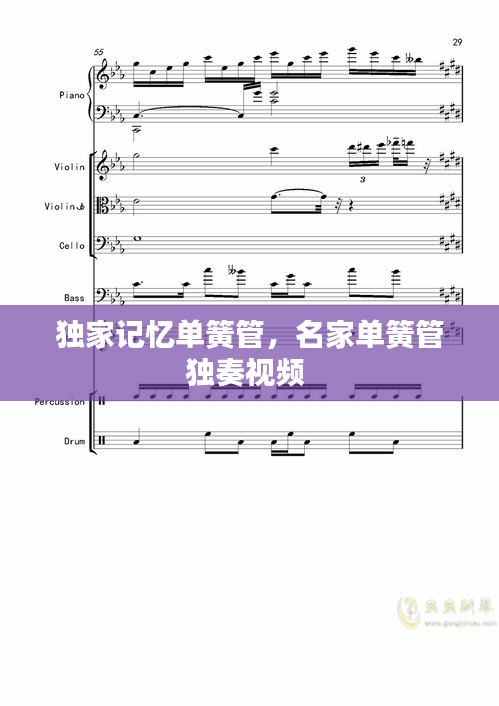独家记忆单簧管，名家单簧管独奏视频 