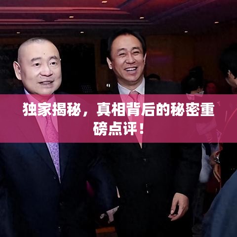 独家揭秘，真相背后的秘密重磅点评！