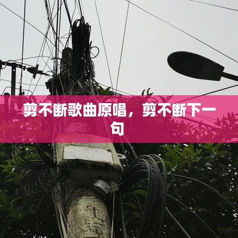 剪不断歌曲原唱，剪不断下一句 