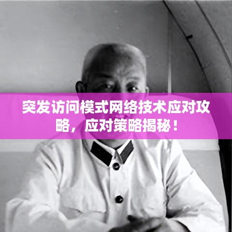 突发访问模式网络技术应对攻略，应对策略揭秘！