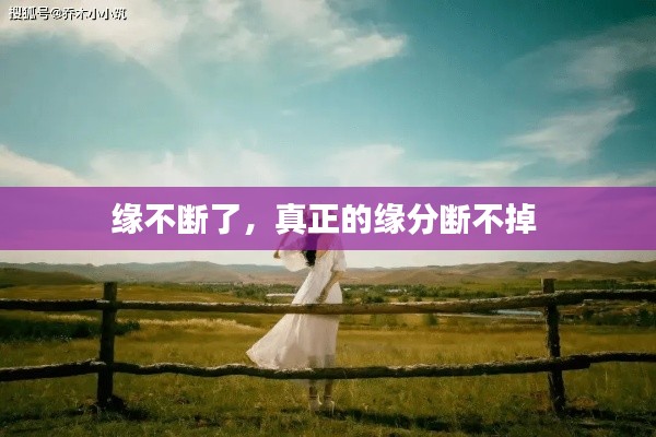 缘不断了，真正的缘分断不掉 