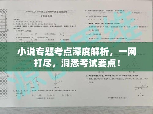 小说专题考点深度解析，一网打尽，洞悉考试要点！
