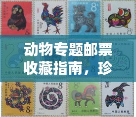 动物专题邮票收藏指南，珍稀邮票目录一览