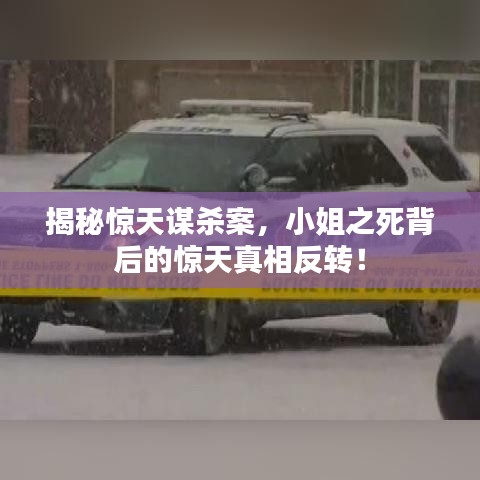 揭秘惊天谋杀案，小姐之死背后的惊天真相反转！