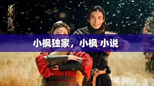 小枫独家，小枫 小说 
