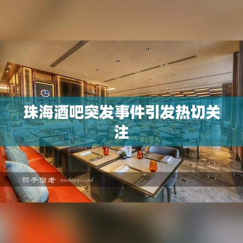珠海酒吧突发事件引发热切关注