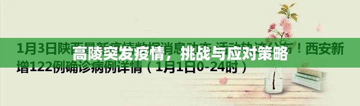 高陵突发疫情，挑战与应对策略